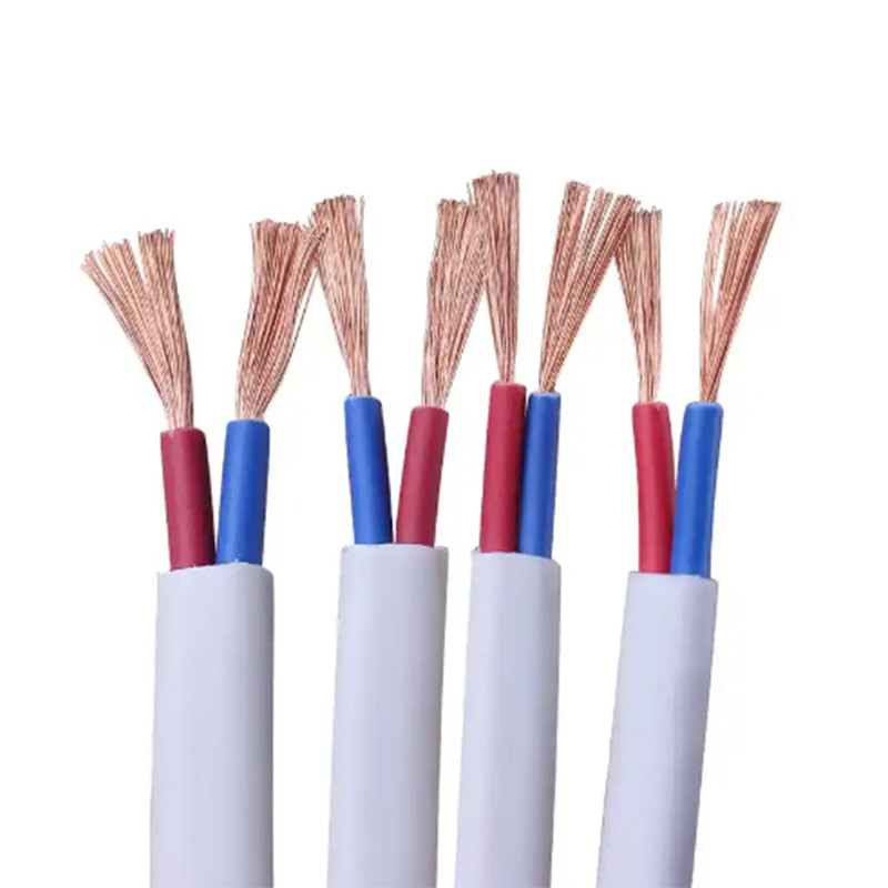 300/500V RVV Single Core PVC Insulated Copper Wire House Wiring Cable 